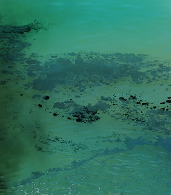 BP Oil Spill