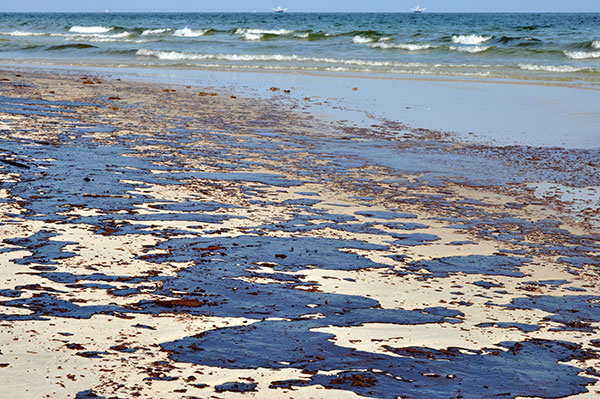 FINAL DEADLINE to File Claims Against BP For the Gulf Oil Spill