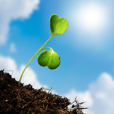 Earth Day 2015