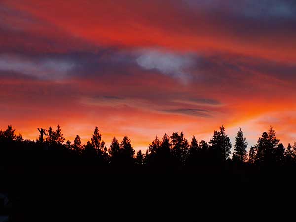 Butte Fire Lawsuit