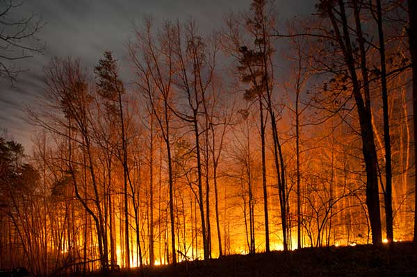 Butte Wildfire