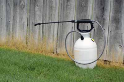 RoundUp Weed Killer