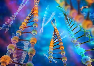 RNA Manipulation