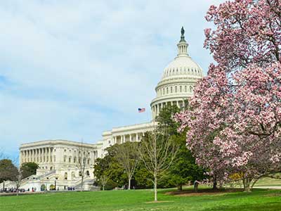 Congress