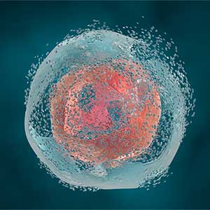 Mesothelioma Gene Targeting Drug