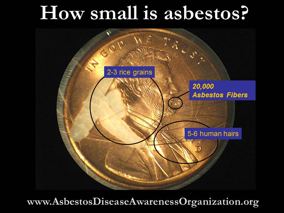 An asbestos fiber is 700 times smaller than a human hair.