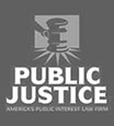 Public Justice