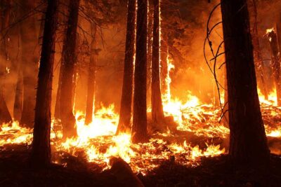 California Wildfire