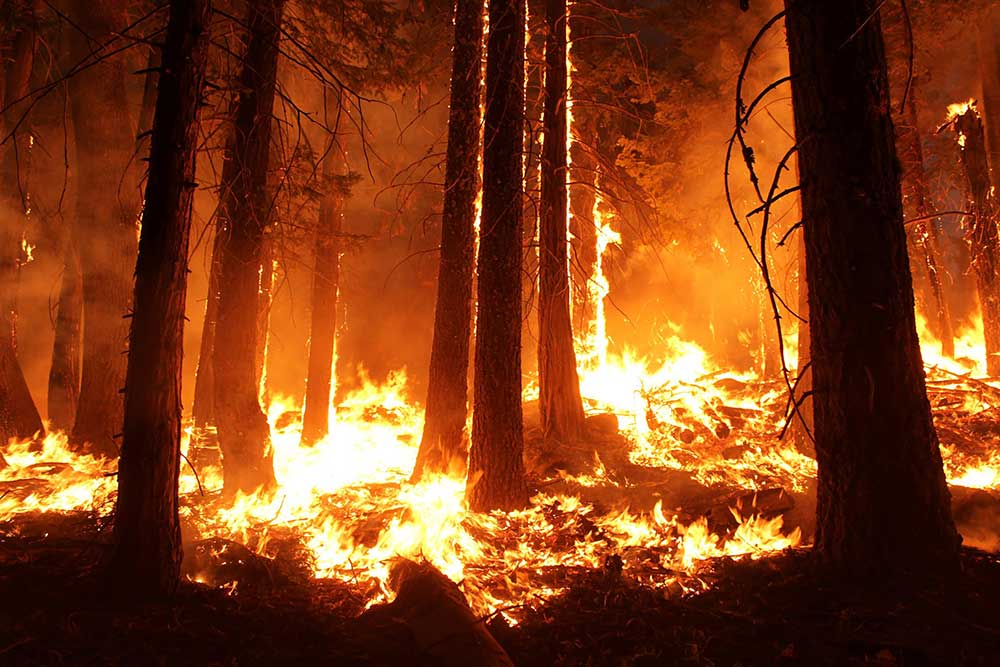 California Wildfire