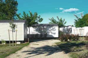 El Cajon RCE Contamination