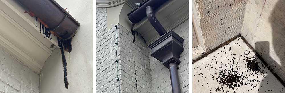 Faulty Roof Tar Underlayment