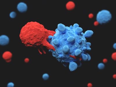 Test Will Predict Patient Response to Asbestos Cancer Therapy