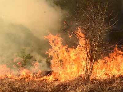 Mountain View Wildfire Lawsuit
