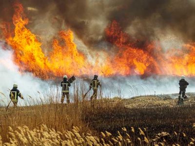Baron & Budd Files Lawsuit Against PG&E on Behalf of Five Counties Damaged by Dixie Fire